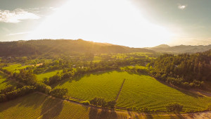 Napa Valley Aerial Photography